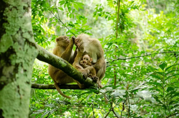 Izazvali su skandale: Ovo su najpoznatiji kontroverzni znanstveni eksperimenti u povijesti