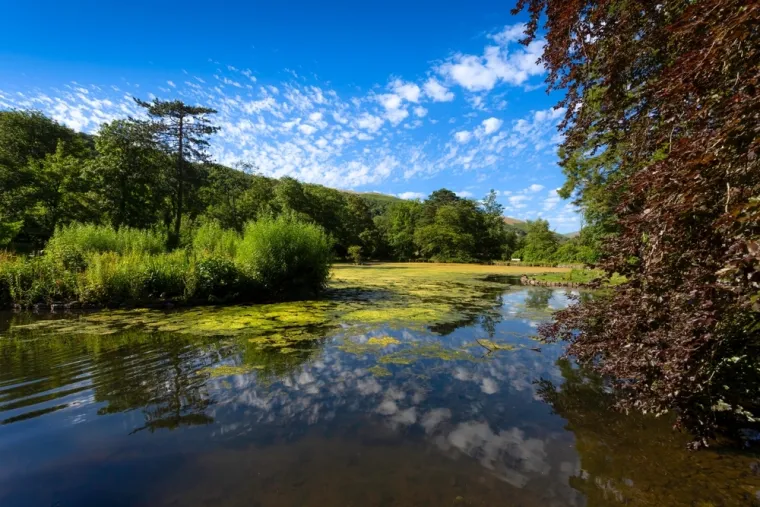 Krhki, dragocjeni dom: Ovo su zanimljive činjenice o Zemlji koje možda niste znali