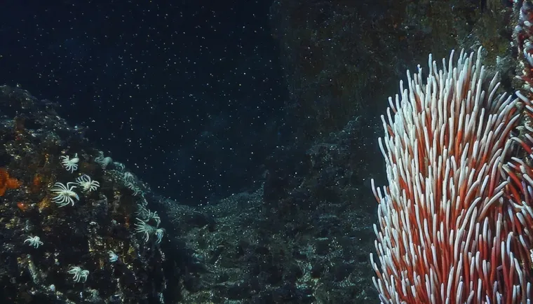 Krhki, dragocjeni dom: Ovo su zanimljive činjenice o Zemlji koje možda niste znali