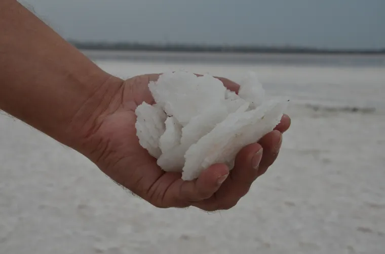 Krhki, dragocjeni dom: Ovo su zanimljive činjenice o Zemlji koje možda niste znali