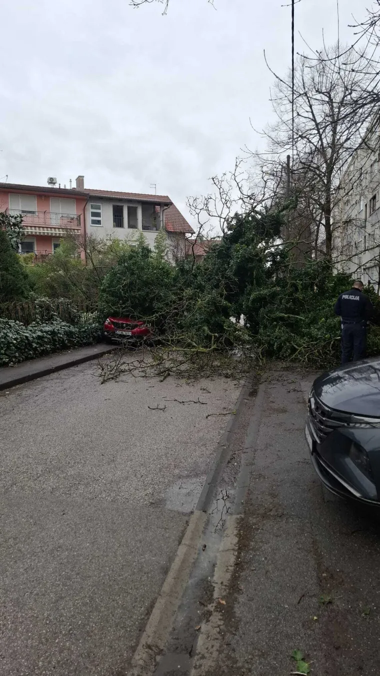 Kaos u Zagrebu: Stablo palo na parkirane automobile na Tre&scaron;njevci