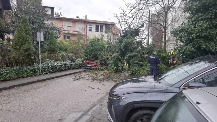 Kaos u Zagrebu: Stablo palo na parkirane automobile na Tre&scaron;njevci