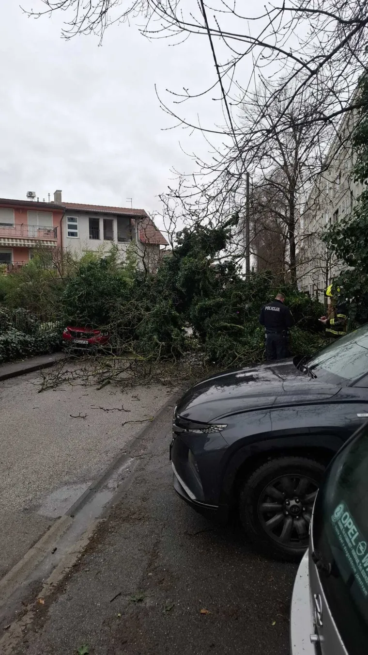 Kaos u Zagrebu: Stablo palo na parkirane automobile na Tre&scaron;njevci