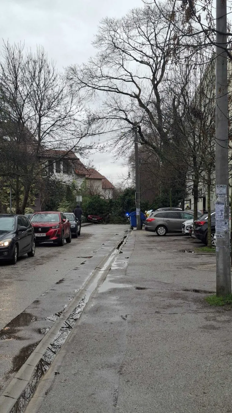 Kaos u Zagrebu: Stablo palo na parkirane automobile na Tre&scaron;njevci