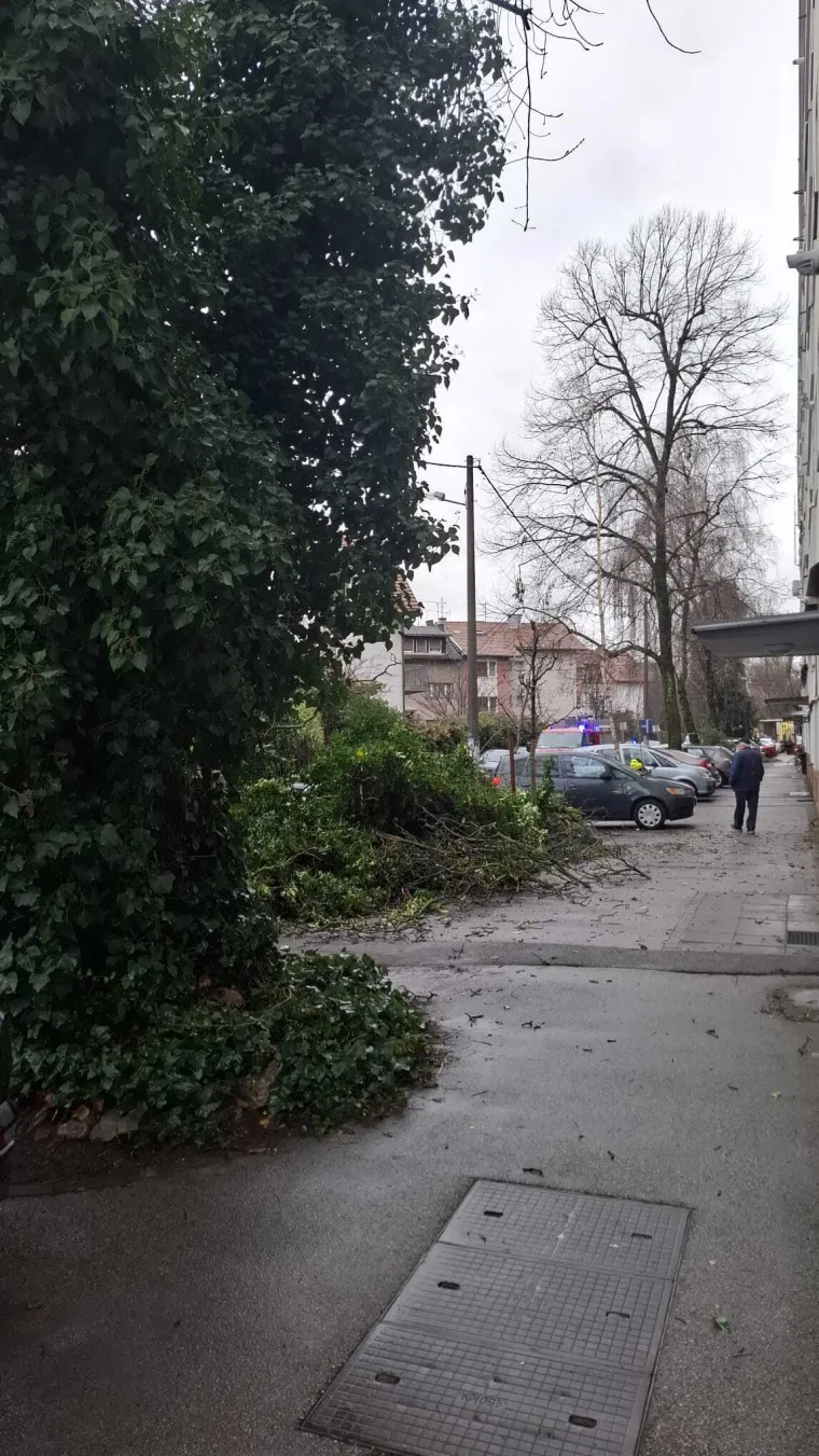 Kaos u Zagrebu: Stablo palo na parkirane automobile na Tre&scaron;njevci