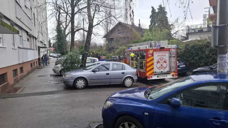 Kaos u Zagrebu: Stablo palo na parkirane automobile na Tre&scaron;njevci