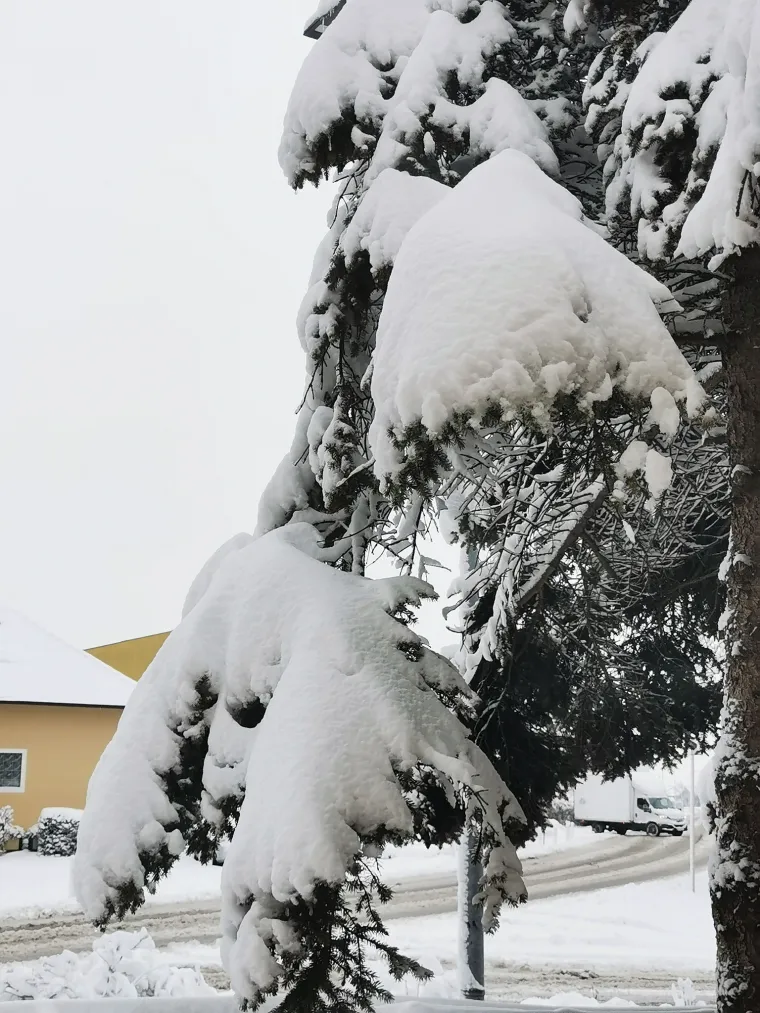 Ponovno ste nas odu&scaron;evili! Ovo su fotografije snježne idile u veljači koje ste nam poslali