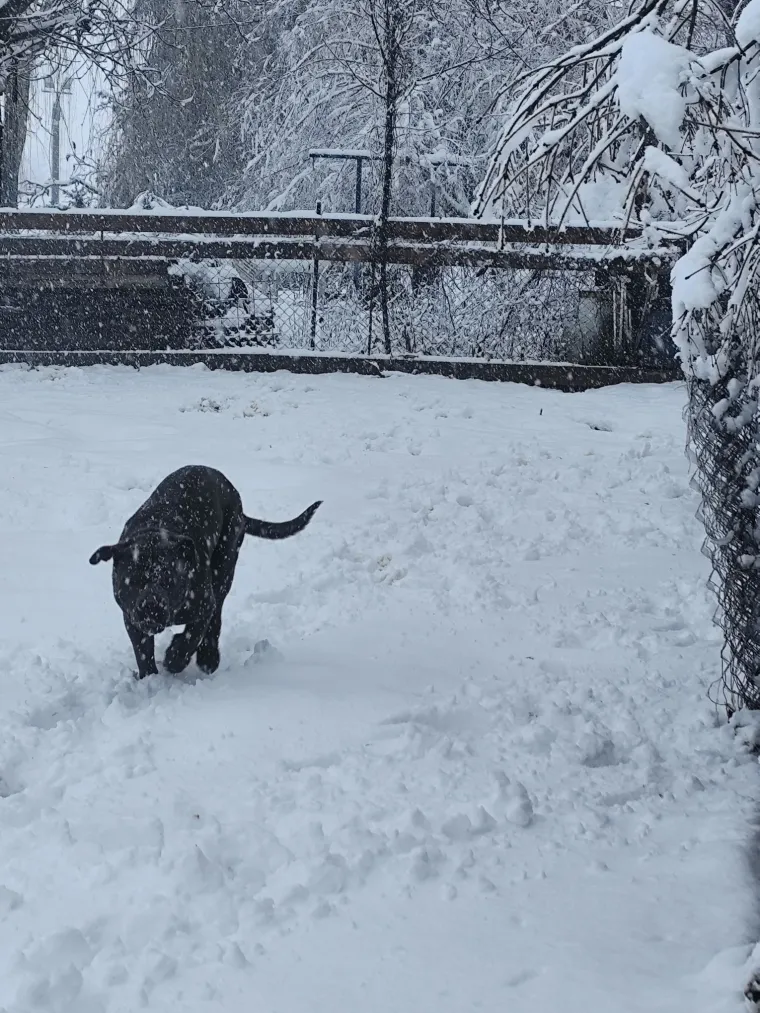 Ponovno ste nas odu&scaron;evili! Ovo su fotografije snježne idile u veljači koje ste nam poslali
