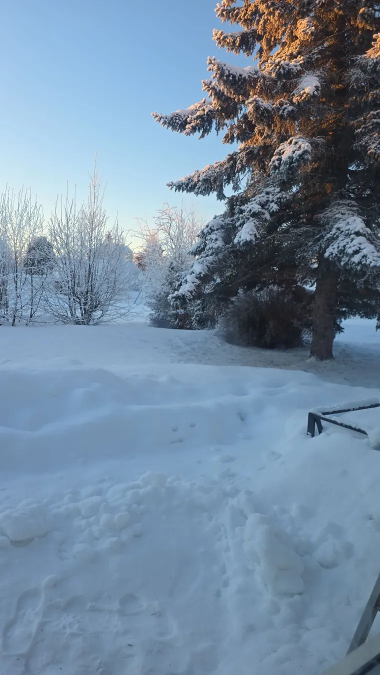 Ponovno ste nas odu&scaron;evili! Ovo su fotografije snježne idile u veljači koje ste nam poslali