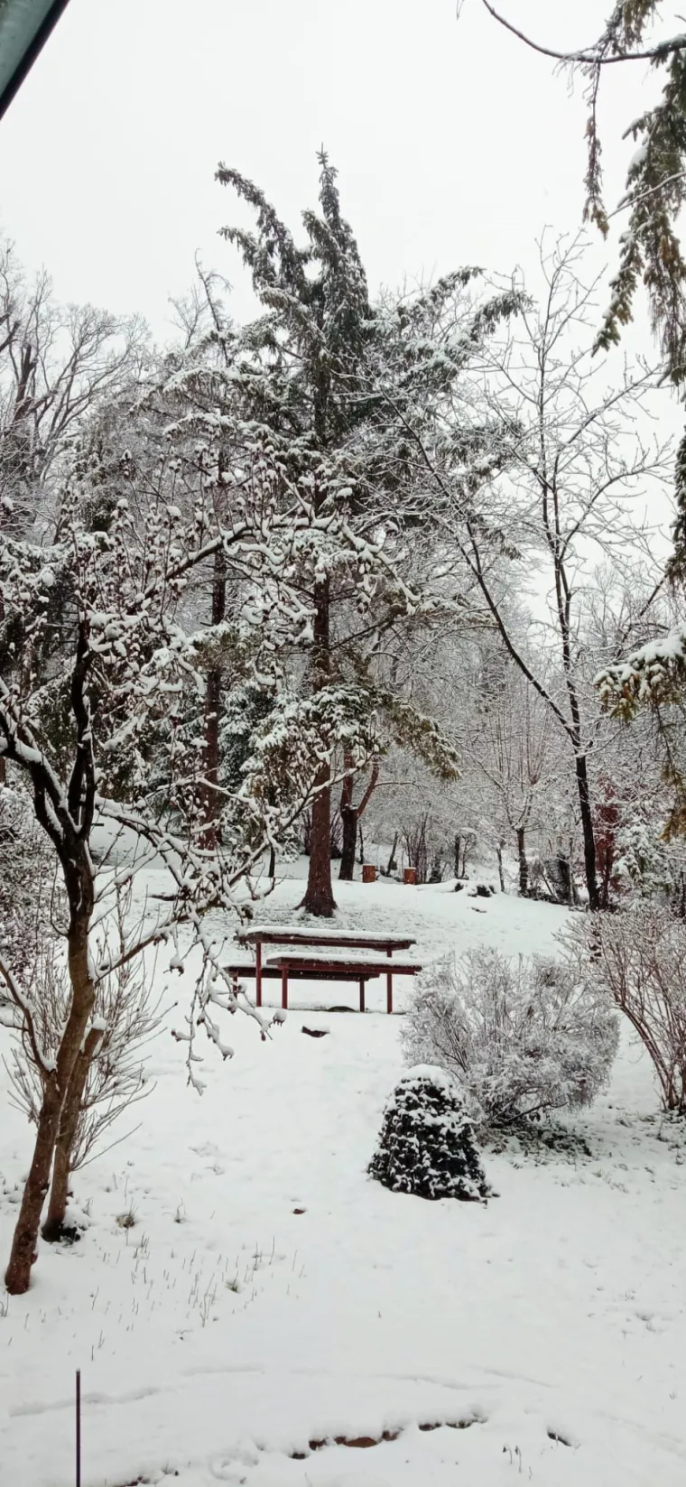 Ponovno ste nas odu&scaron;evili! Ovo su fotografije snježne idile u veljači koje ste nam poslali