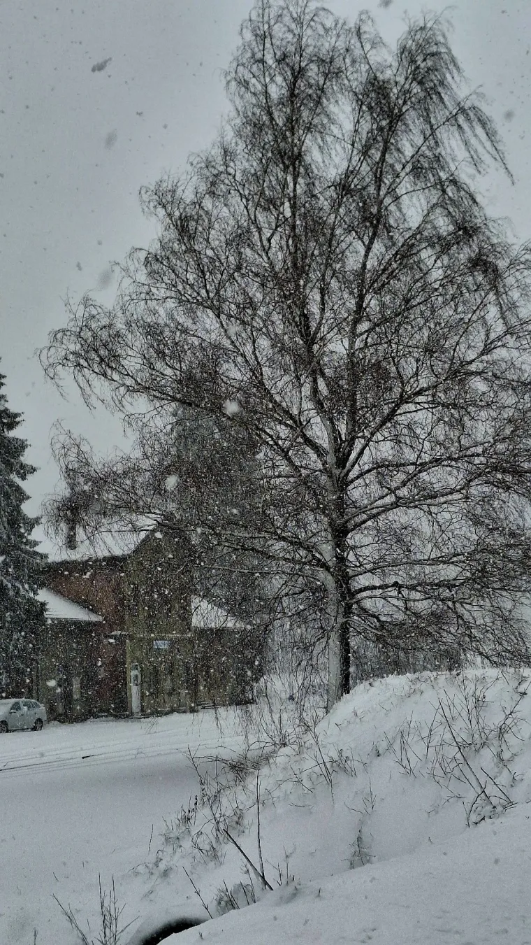 Ponovno ste nas odu&scaron;evili! Ovo su fotografije snježne idile u veljači koje ste nam poslali