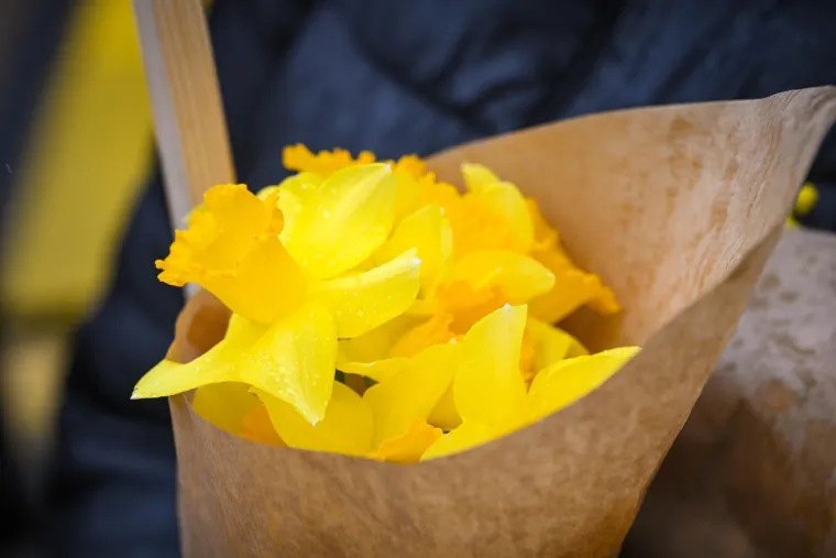 Transparenti i zastave u centru Zagreba: 'Danas Ukrajina, sutra Europa'