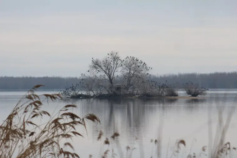 Zimski look koji osvaja: U prelo&scaron;koj Marini nema tko se nije okrenuo za plavu&scaron;om u smeđem kaputu
