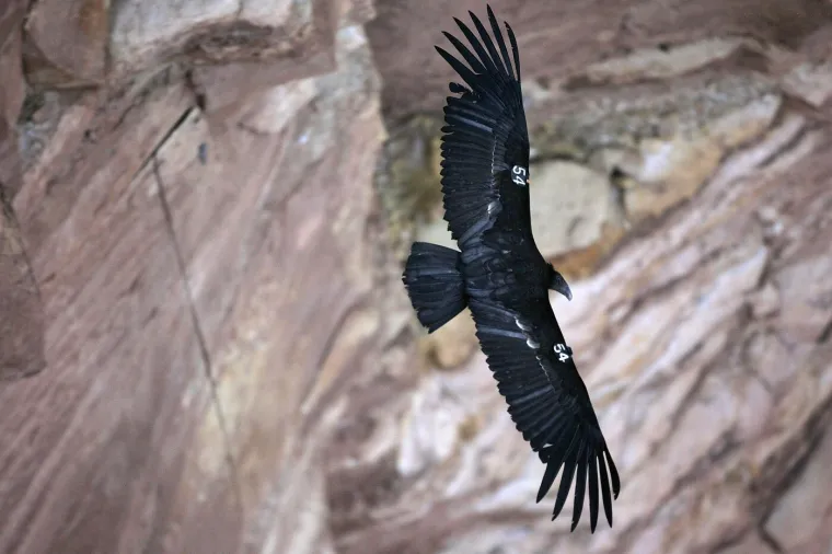 Jedno od najvećih čuda svijeta slavi rođendan: 'Priroda je na njemu radila stoljećima'