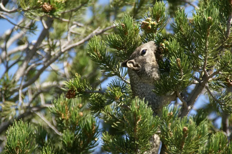 Jedno od najvećih čuda svijeta slavi rođendan: 'Priroda je na njemu radila stoljećima'