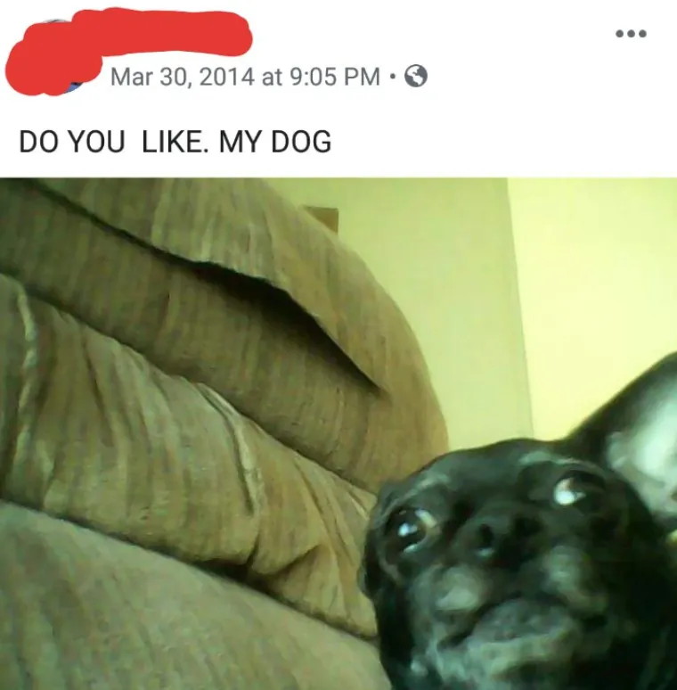 Ovako to izgleda kada se stariji ljudi dočepaju dru&scaron;tvenih mreža: Prizori su čisti urnebes