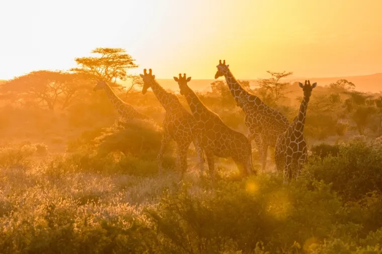 Susjedi zamijenili Hrvatsku: Ugledni medij sastavio popis nezaobilaznih destinacija za 2026.