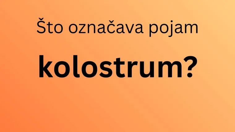 Mogu li mu&scaron;karci pogoditi značenja ženskih pojmova? Na nekim pitanjima mogli bi se namučiti