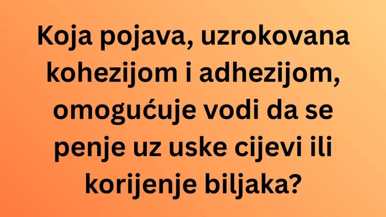 Znate li ba&scaron; sve o vodi? Pazite jer su pitanja dosta zahtjevna i lako se poskliznuti