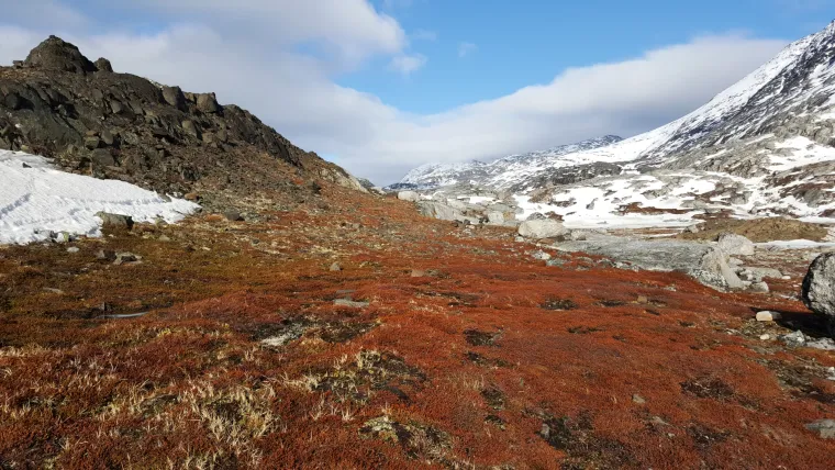 More, ledenjaci i surova klima: Grenland kakav se rijetko može vidjeti, ali - nije za svakoga