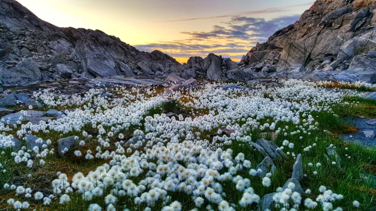 More, ledenjaci i surova klima: Grenland kakav se rijetko može vidjeti, ali - nije za svakoga