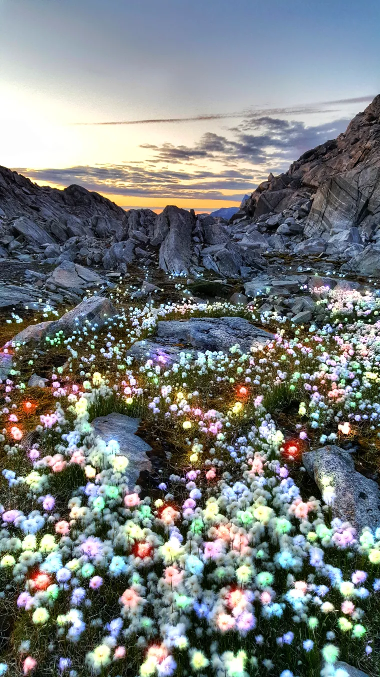 More, ledenjaci i surova klima: Grenland kakav se rijetko može vidjeti, ali - nije za svakoga