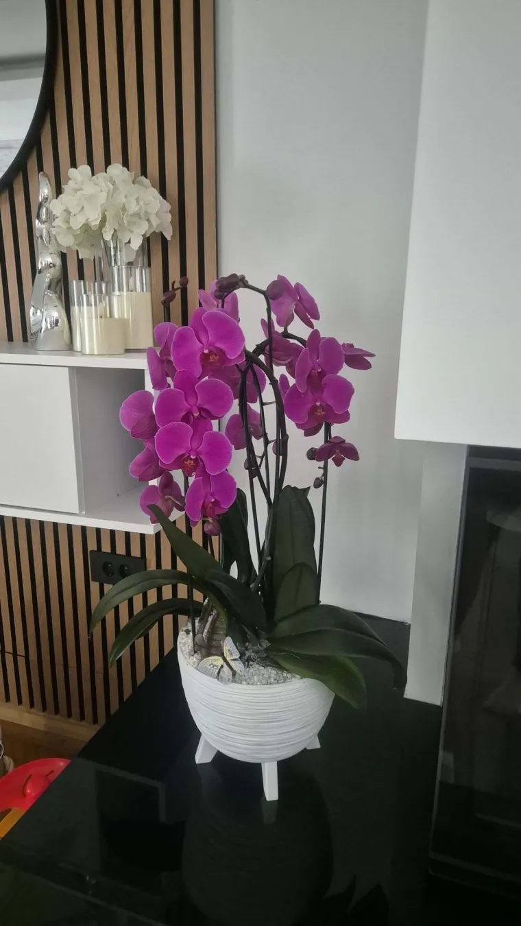 Elegantne i egzotične: Neke žive i do sto godina, a ovo su va&scaron;e fotografije