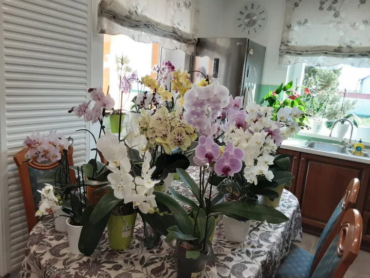 Elegantne i egzotične: Neke žive i do sto godina, a ovo su va&scaron;e fotografije