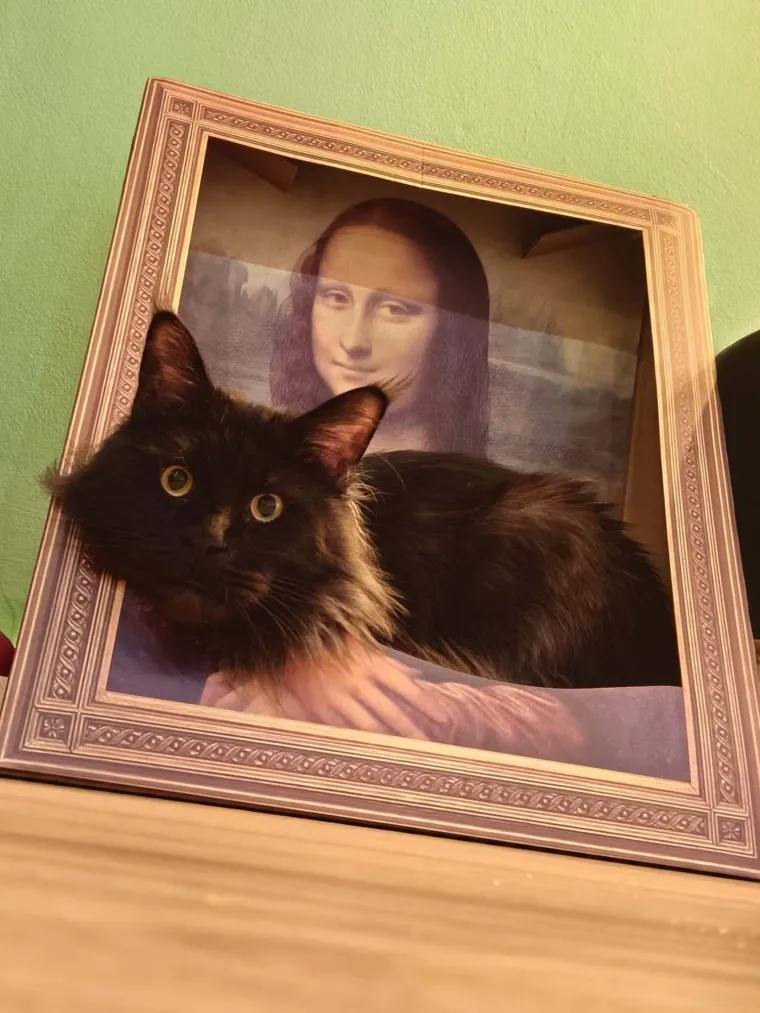 Veliki nježni divovi koji uživaju u maženju: Va&scaron;e ljubimice svakome će izmamiti osmijeh na lice