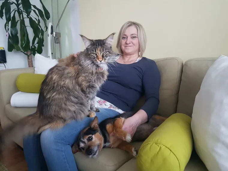 Veliki nježni divovi koji uživaju u maženju: Va&scaron;e ljubimice svakome će izmamiti osmijeh na lice