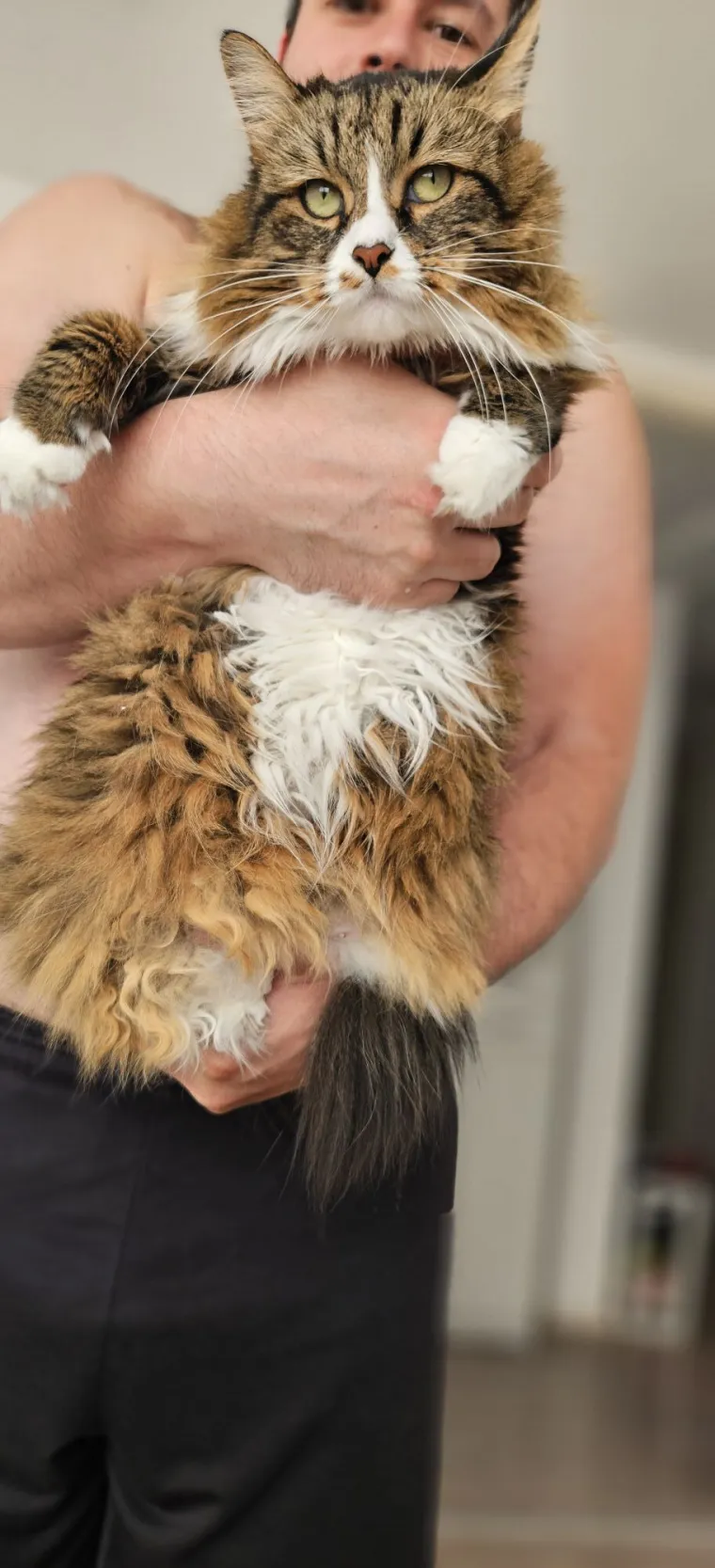 Veliki nježni divovi koji uživaju u maženju: Va&scaron;e ljubimice svakome će izmamiti osmijeh na lice