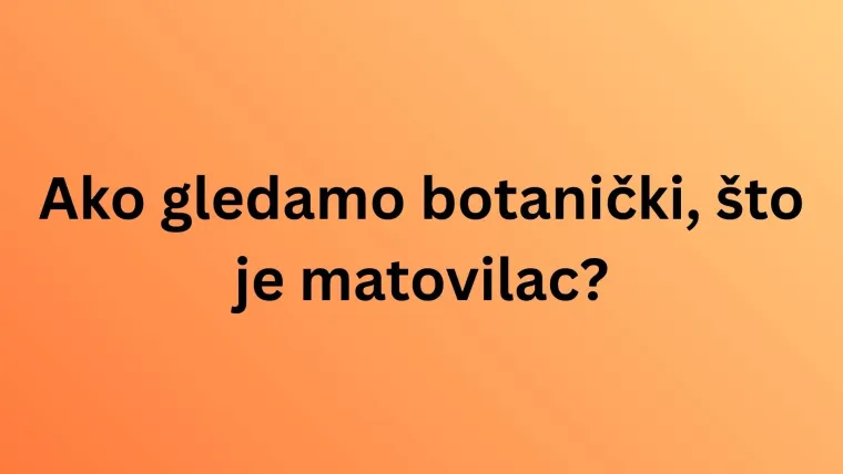 Jesu li ove namirnice voće ili povrće? Pazite, lako se poskliznuti na pitanjima