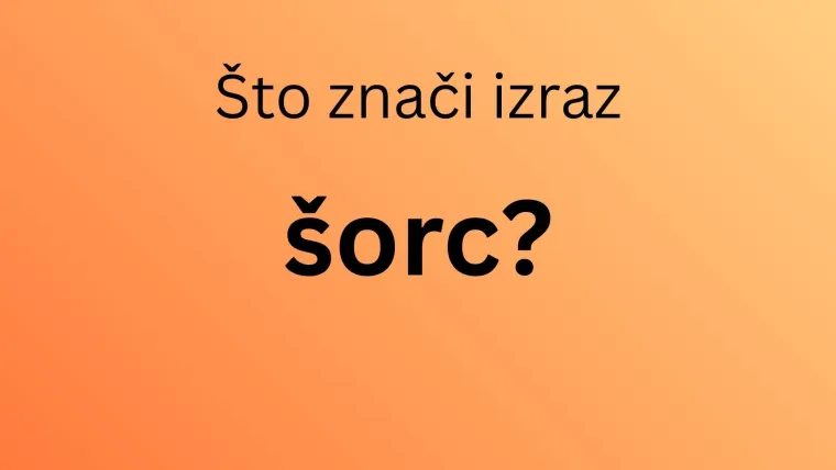 Ako ti je hrvatski materinji jezik, mora&scaron; prepoznati značenje barem sedam žargonizama