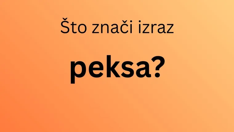 Ako ti je hrvatski materinji jezik, mora&scaron; prepoznati značenje barem sedam žargonizama