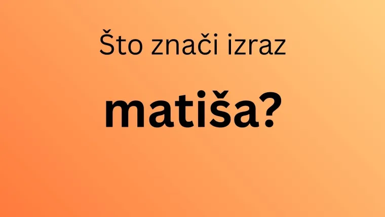 Ako ti je hrvatski materinji jezik, mora&scaron; prepoznati značenje barem sedam žargonizama