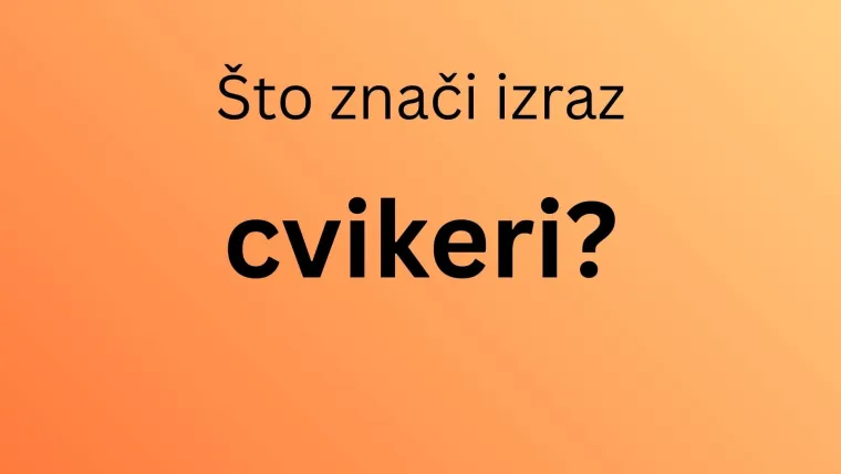 Ako ti je hrvatski materinji jezik, mora&scaron; prepoznati značenje barem sedam žargonizama