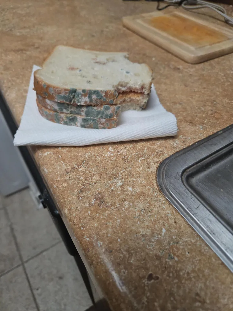 Nipo&scaron;to ne gledajte uoči užine, odnosno marende! Ovi sendviči izbit će vam svaku želju za obrokom