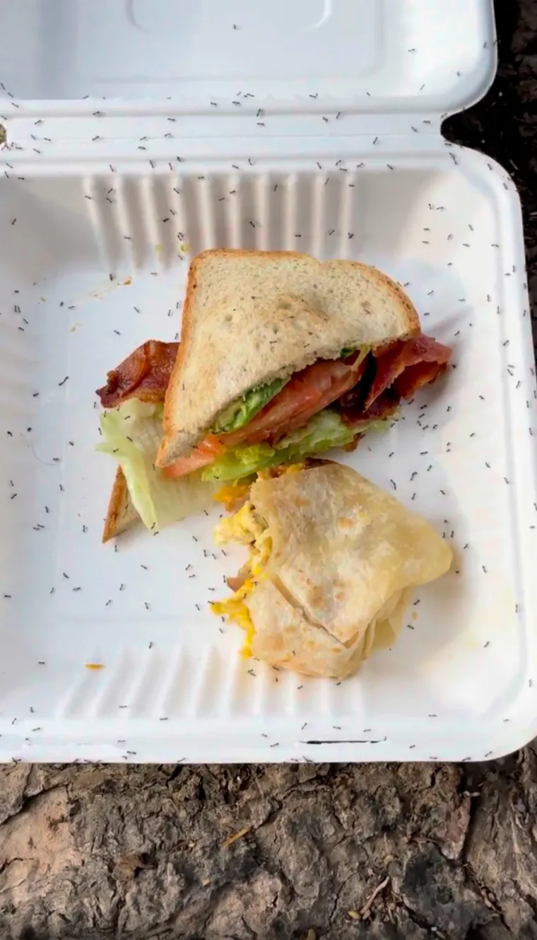 Nipo&scaron;to ne gledajte uoči užine, odnosno marende! Ovi sendviči izbit će vam svaku želju za obrokom