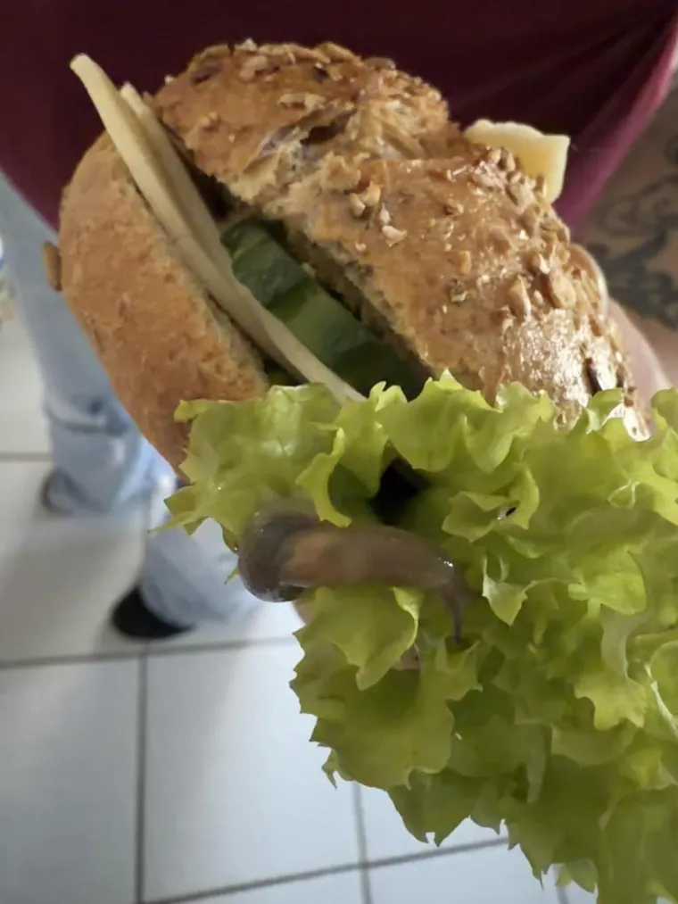 Nipo&scaron;to ne gledajte uoči užine, odnosno marende! Ovi sendviči izbit će vam svaku želju za obrokom