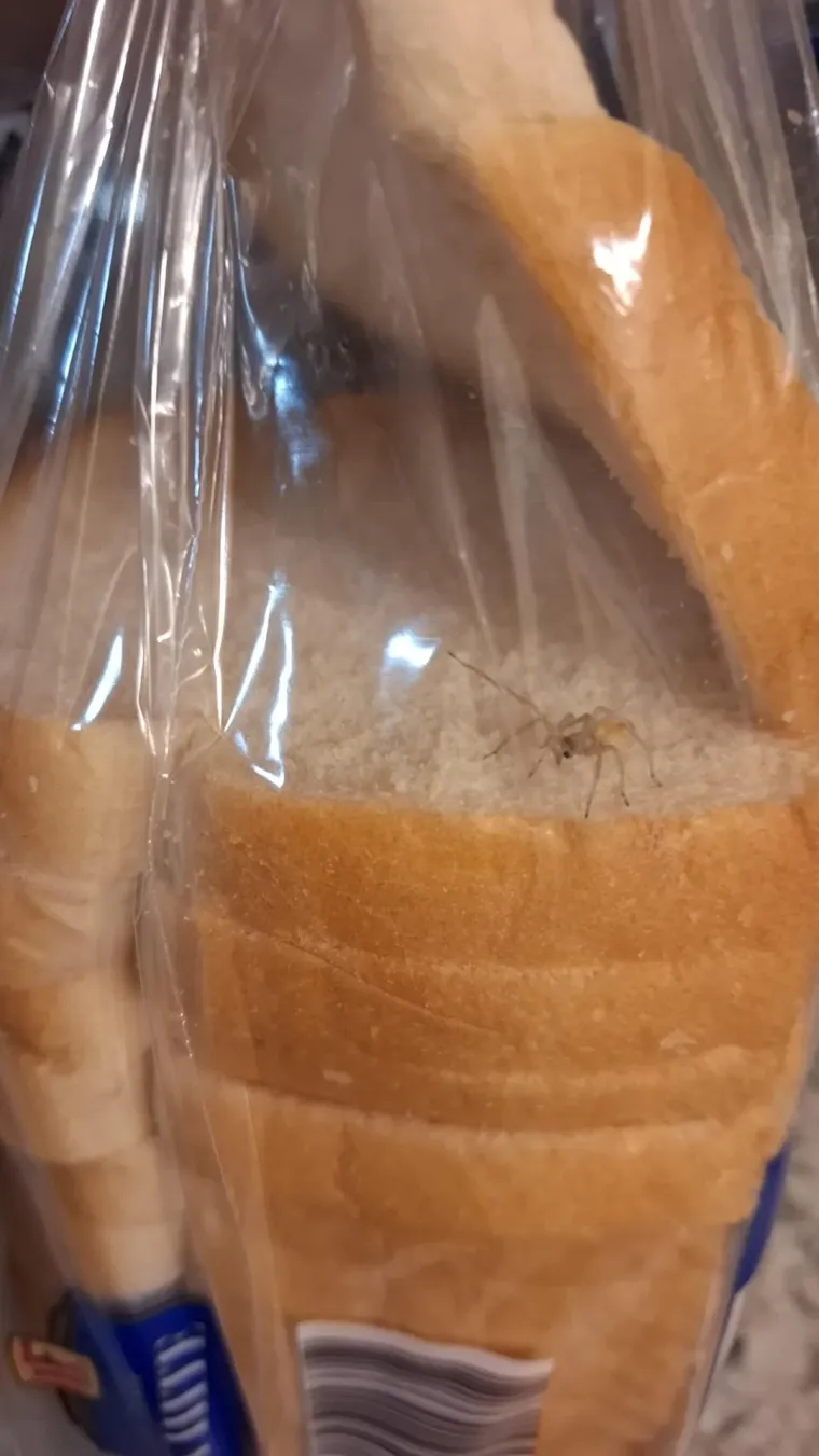 Nipo&scaron;to ne gledajte uoči užine, odnosno marende! Ovi sendviči izbit će vam svaku želju za obrokom