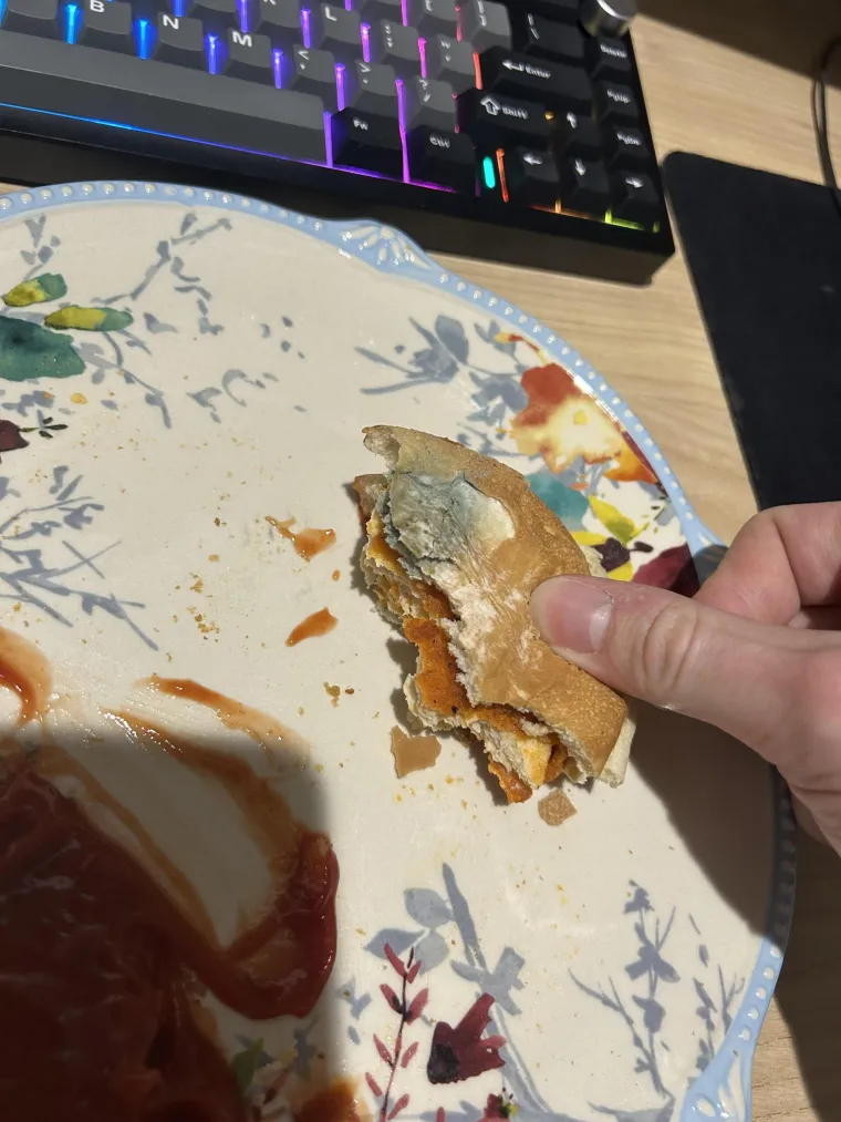 Nipo&scaron;to ne gledajte uoči užine, odnosno marende! Ovi sendviči izbit će vam svaku želju za obrokom