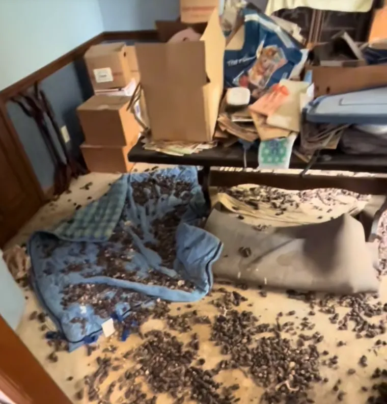 Mladi čistač od prostorija natrpanih smećem do stropa stvara čuda: Rezultati su impresivni