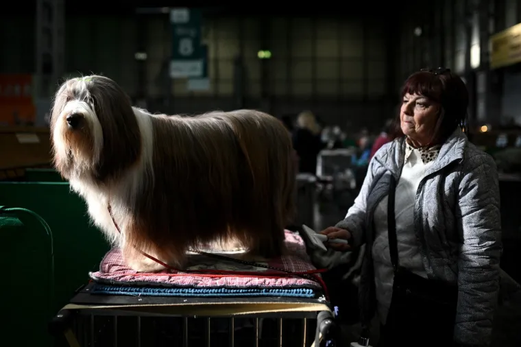 Preslatke nju&scaron;kice na najprestižnijoj svjetskoj izložbi pasa: Koji je vama osvojio srce?