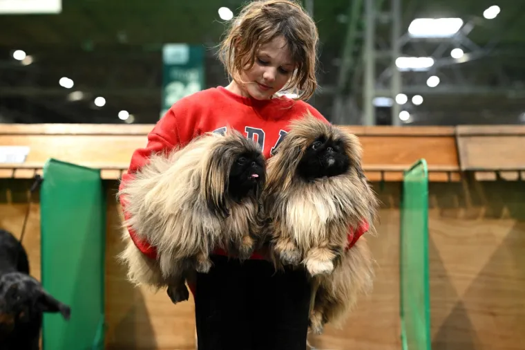 Preslatke nju&scaron;kice na najprestižnijoj svjetskoj izložbi pasa: Koji je vama osvojio srce?