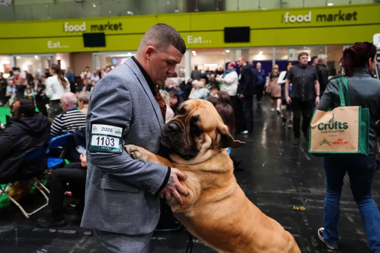 Preslatke nju&scaron;kice na najprestižnijoj svjetskoj izložbi pasa: Koji je vama osvojio srce?