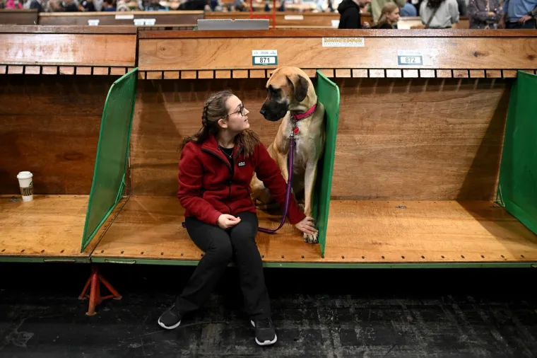 Preslatke nju&scaron;kice na najprestižnijoj svjetskoj izložbi pasa: Koji je vama osvojio srce?