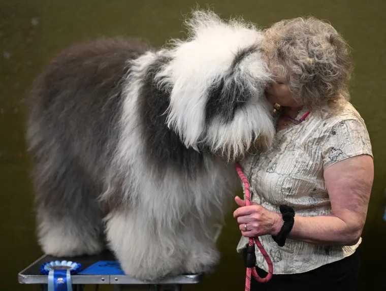 Preslatke nju&scaron;kice na najprestižnijoj svjetskoj izložbi pasa: Koji je vama osvojio srce?
