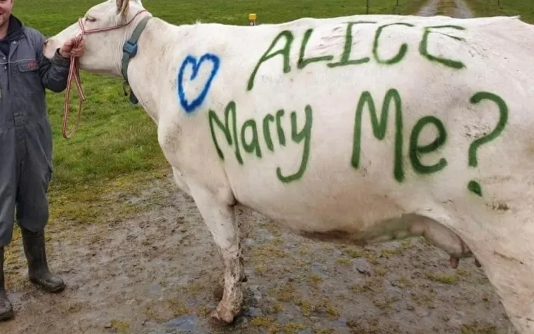 Ove prosidbe ispale su toliko lo&scaron;e da će vam od &scaron;oka pasti brak na oči! Gore stvarno nije moglo