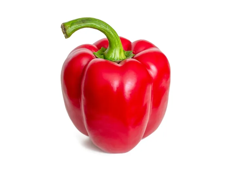 Bez puno muke mora&scaron; prepoznati ovo crveno voće i povrće na najlak&scaron;em kvizu ikad