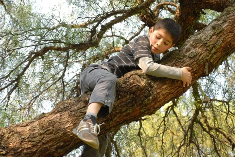 Mitovi o preživljavanju koji vas mogu ko&scaron;tati života: Ovo nikako ne biste trebali raditi